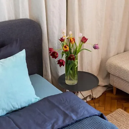 아파트 No.8: Lovely & Cosy 3-room Heart Of The 티미쇼아라